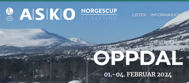 Junior NM Skiskyting